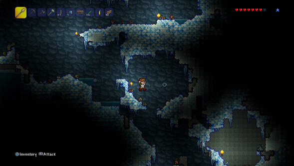 Игра Terraria [PS4, русские субтитры] в Москве