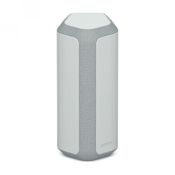 Портативная колонка Sony SRS-XE300, Light Gray в Москве