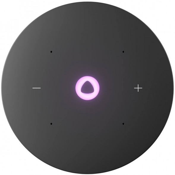 Умная колонка Яндекс Станция Мини 3 Про с Алисой с Zigbee, серый в Москве