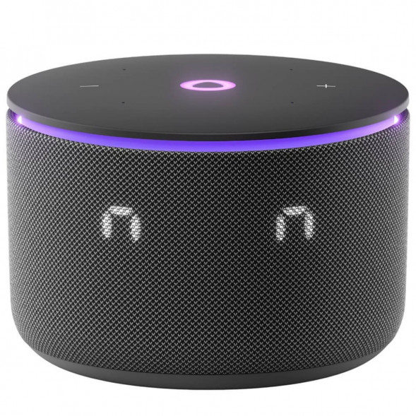 Умная колонка Яндекс Станция Мини 3 Про с Алисой с Zigbee, черный в Москве