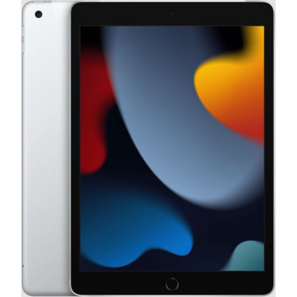 Планшет Apple iPad (2021) 10.2 Wi-Fi 64GB (MK2L3) Серебристый в Москве