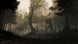 Игра GreedFall [PS4, русские субтитры] в Москве
