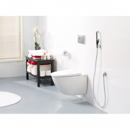 Лейка для гигиенического душа Oras Optima (272050), серебро/черный