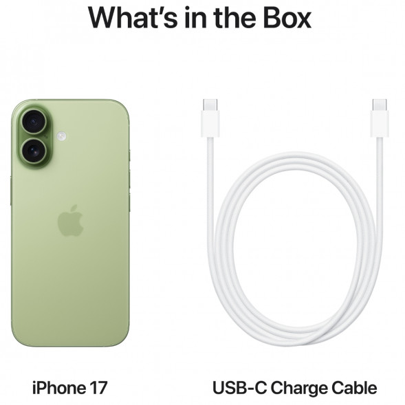 Смартфон Apple iPhone 17 256GB eSim, Sage в Москве