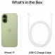 Смартфон Apple iPhone 17 256GB eSim, Sage в Москве