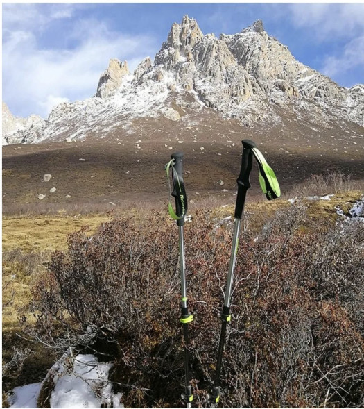 Треккинговая палка Naturehike 135 см, 1 шт., черный/красный в Москве