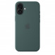 Чехол Apple для iPhone 16 Plus Silicone MagSafe,  Lake Green (MYYH3ZM/A) в Москве
