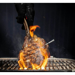 Термометр щуп для мяса MEATER 2 Plus (MT-MP201)