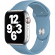 Ремешок для Apple Watch 40mm Northern Blue Sport Band (MYD02ZM/A), скандинавский синий в Москве