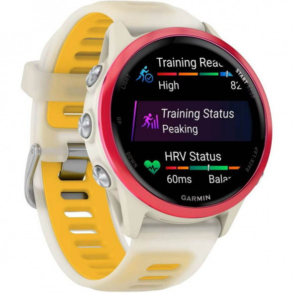 Умные часы Garmin Forerunner 570 42 мм Raspberry Aluminium/Translucent Bone/Mango 010-02970-02 в Москве