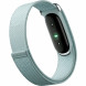 Фитнес-браслет Google Fitbit Air (Серо-голубой/Fog) в Москве