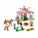 Конструктор LEGO Friends 41746 Horse Training в Москве