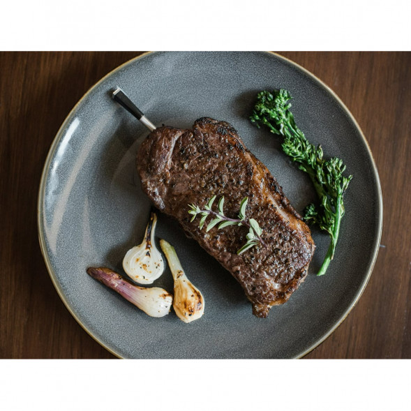 Термометр со щупом Meater Plus для мяса в Москве