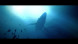 Игра Under The Waves [PS4, русские субтитры] в Москве