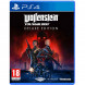 Игра Wolfenstein Youngblood Deluxe Edition [PS4, русская версия] в Москве