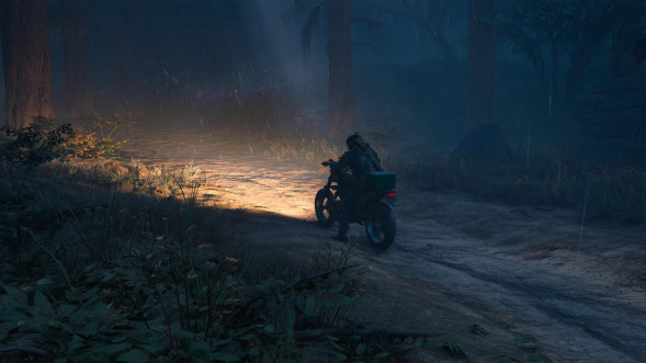 Игра Жизнь После (Days Gone) [PS4, русская версия] в Москве